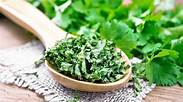 Natural Dried Coriander Leaves